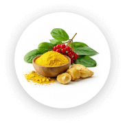 Berberine HCl Ingredient